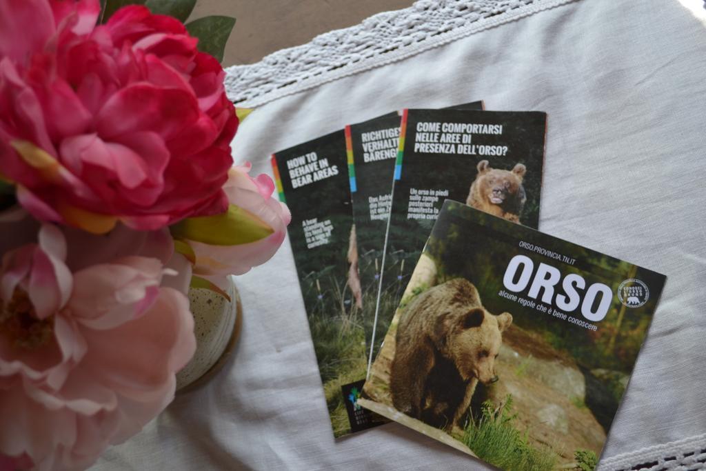 كاستيلو-مولينا دي فيم B&B La Tana Dell'Orso - Die Baerenhoehle المظهر الخارجي الصورة