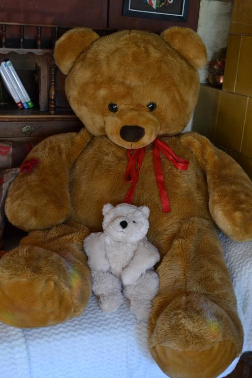 كاستيلو-مولينا دي فيم B&B La Tana Dell'Orso - Die Baerenhoehle المظهر الخارجي الصورة