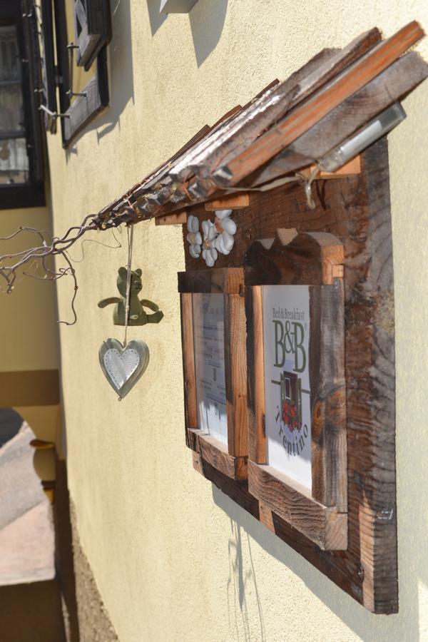 كاستيلو-مولينا دي فيم B&B La Tana Dell'Orso - Die Baerenhoehle المظهر الخارجي الصورة